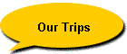 Our Trips